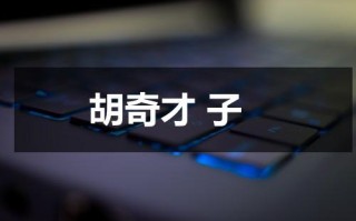 胡奇才 子