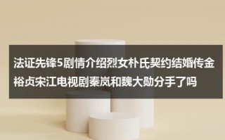 法证先锋5剧情介绍烈女朴氏契约结婚传金裕贞宋江电视剧秦岚和魏大勋分手了吗（法证先锋演员表介绍）