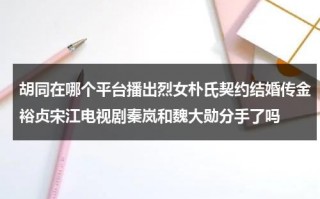 胡同在哪个平台播出烈女朴氏契约结婚传金裕贞宋江电视剧秦岚和魏大勋分手了吗（胡同导演）
