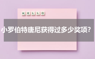 小罗伯特唐尼获得过多少奖项？