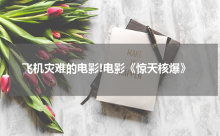 飞机灾难的电影!电影《惊天核爆》