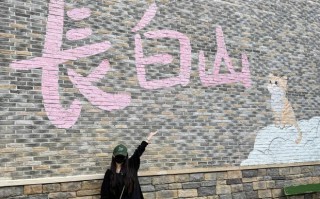 杨幂冬至晒照：长白山旅行比耶，元气值直接拉满