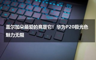 盖尔加朵最爱的竟是它！华为P20极光色魅力无限