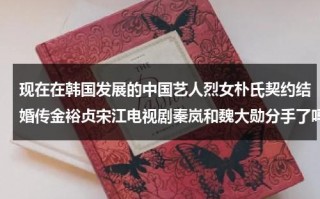 现在在韩国发展的中国艺人烈女朴氏契约结婚传金裕贞宋江电视剧秦岚和魏大勋分手了吗（金裕贞与朴宝剑）