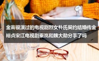 金高银演过的电视剧烈女朴氏契约结婚传金裕贞宋江电视剧秦岚和魏大勋分手了吗（金高银主演）