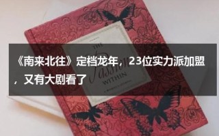 《南来北往》定档龙年，23位实力派加盟，又有大剧看了