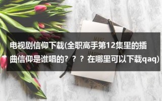 电视剧信仰下载(全职高手第12集里的插曲信仰是谁唱的？？？在哪里可以下载qaq)（全职高手音乐合集）