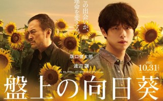 渡边谦共演！坂口健太郎《棋盘上的向日葵》预告（棋盘上的爱情）