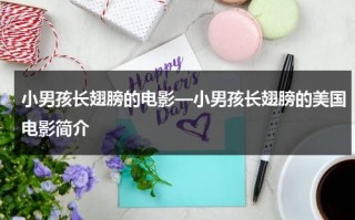 小男孩长翅膀的电影—小男孩长翅膀的美国电影简介（小孩长了一对翅膀是什么电影）