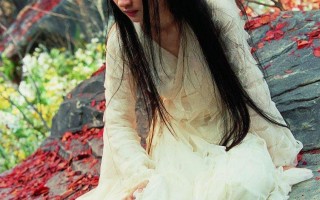 倩女幽魂刘亦非(倩女幽魂刘亦菲简介)