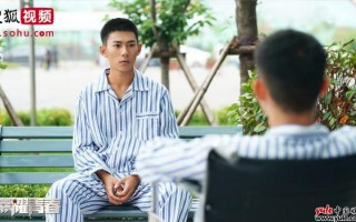 《荣耀青春》会员收官 热血“军校群像”引共鸣（网剧荣耀青春）
