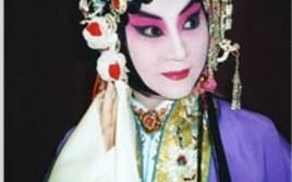 杨淑蕊（望江亭杨衙内张派曲谱）
