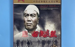回民支队(回民支队领导名单)