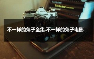 不一样的兔子全集.不一样的兔子电影（不一样的兔子mv小画家）