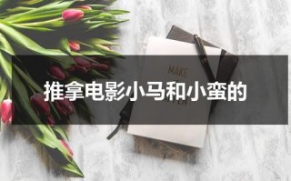 推拿电影小马和小蛮的（推拿小马人物分析）