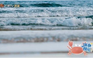 《海角88号》首播好评如潮！海上民宿化身治愈乌托邦