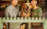 亚洲中文高清精品第一页无删减全集免费在线观看-激情电影一二三-电视剧-星空影视