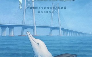 吉祥物原型“拍片”了！纪录电影《中华白海豚》12月12日全国上映