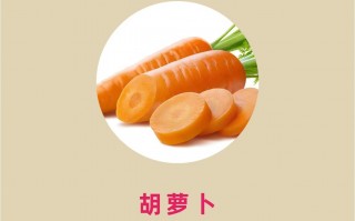 抵抗抵抗(抵抗抵抗电视剧)