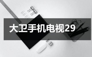 大卫手机电视29（大卫手机免费视频）