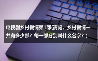 电视剧乡村爱情第1部(请问，乡村爱情一共有多少部？每一部分别叫什么名字？)（乡村爱情共多少部,每部啥名字）