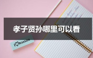 孝子贤孙哪里可以看