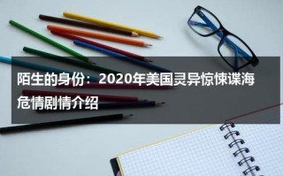 陌生的身份：2020年美国灵异惊悚谍海危情剧情介绍（电视剧陌生的海岸土豆视频）