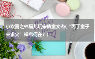 小欢喜之林磊儿玩宋倩童文杰(“丙丁童子来求火”禅意何在？)