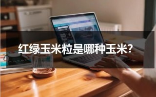 红绿玉米粒是哪种玉米？（红绿玉是什么）