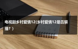 电视剧乡村爱情12(乡村爱情12是否禁播？)（乡村爱情12为什么不更新了）