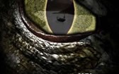 史前怪兽 Legendary- Tomb of the Dragon
