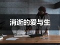 消逝的爱与生（消逝的爱情）