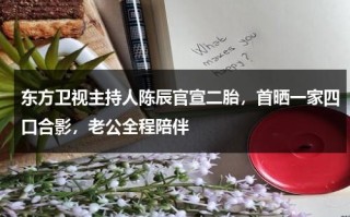 东方卫视主持人陈辰官宣二胎，首晒一家四口合影，老公全程陪伴