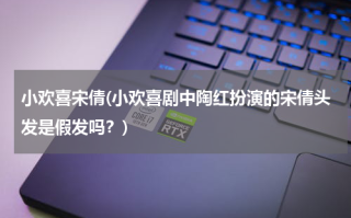 小欢喜宋倩(小欢喜剧中陶红扮演的宋倩头发是假发吗？)