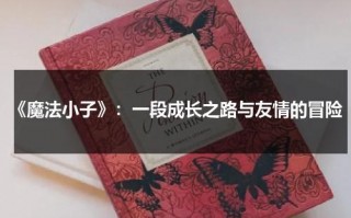 《魔法小子》：一段成长之路与友情的冒险（魔法小王子小说）