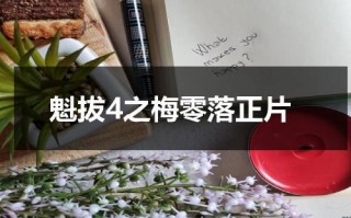 魁拔4之梅零落正片