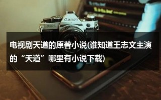 电视剧天道的原著小说(谁知道王志文主演的“天道”哪里有小说下载)（天道里王志文的诗出自哪里）