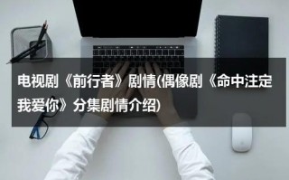 电视剧《前行者》剧情(偶像剧《命中注定我爱你》分集剧情介绍)（前行者分集剧情介绍40集免费观看）