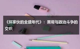 《坏家伙的全盛年代》：黑帮与政治斗争的交织（坏家伙的全盛时期电影在线观看）