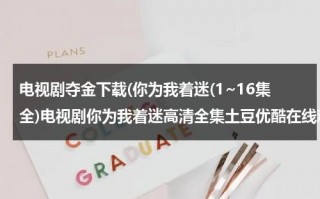 电视剧夺金下载(你为我着迷(1~16集全)电视剧你为我着迷高清全集土豆优酷在线观看)（韩剧你为我着迷下载观看）