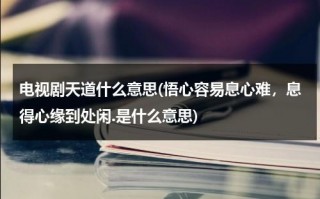 电视剧天道什么意思(悟心容易息心难，息得心缘到处闲.是什么意思)（悟心悟道悟自己）