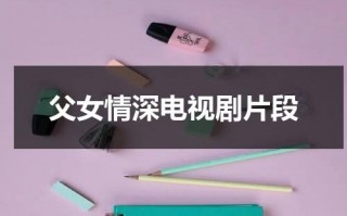 父女情深电视剧片段