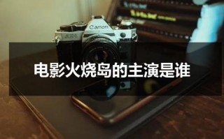 电影火烧岛的主演是谁（火烧岛演的什么）