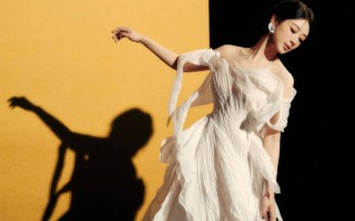 杨紫薄纱白裙似灵动花仙子 盘发造型高贵典雅