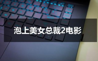 泡上美女总裁2电影