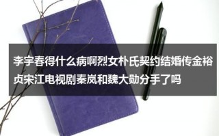 李宇春得什么病啊烈女朴氏契约结婚传金裕贞宋江电视剧秦岚和魏大勋分手了吗
