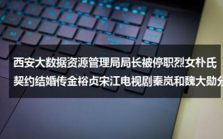 西安大数据资源管理局局长被停职烈女朴氏契约结婚传金裕贞宋江电视剧秦岚和魏大勋分手了吗