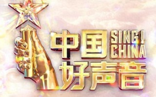 《中国好声音》从神坛掉下，去领跑步了！（中国好声音有一个惊艳）