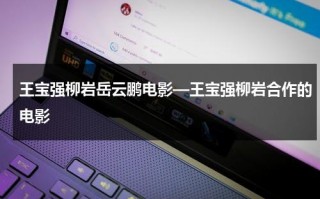 王宝强柳岩岳云鹏电影—王宝强柳岩合作的电影（王宝强柳岩岳云鹏什么电影）