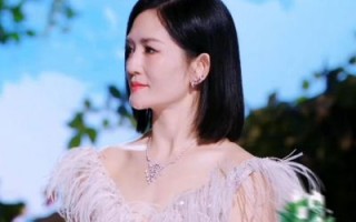 谢娜在《太阳市集》动情回忆：友情与爱情的感人交织